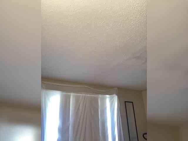 SeemaPatel webcam