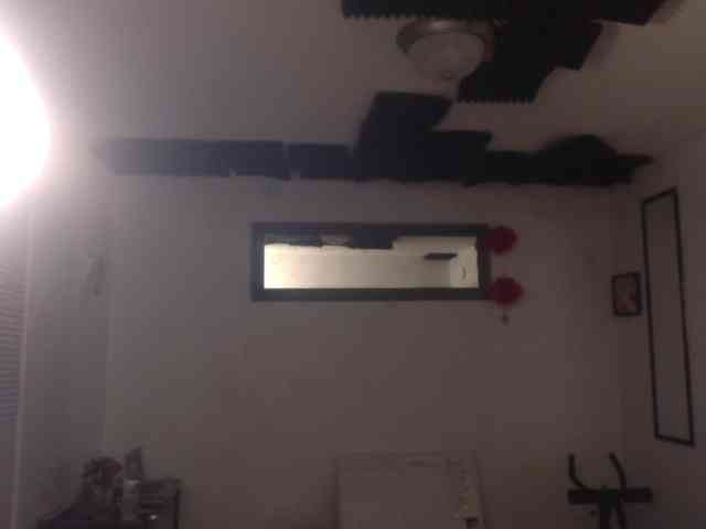 SeemaPatel webcam