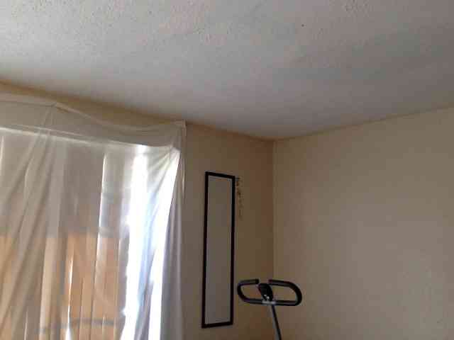 SeemaPatel webcam