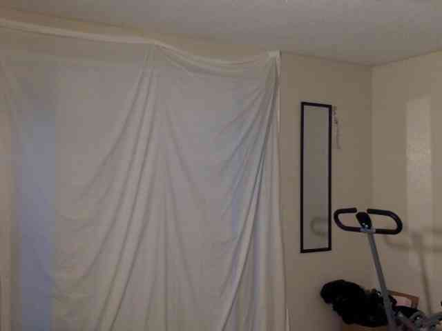 SeemaPatel webcam