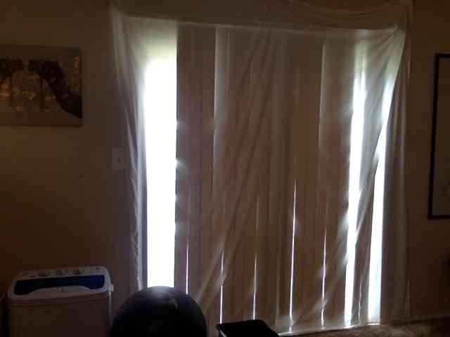 SeemaPatel webcam