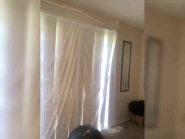 SeemaPatel webcam