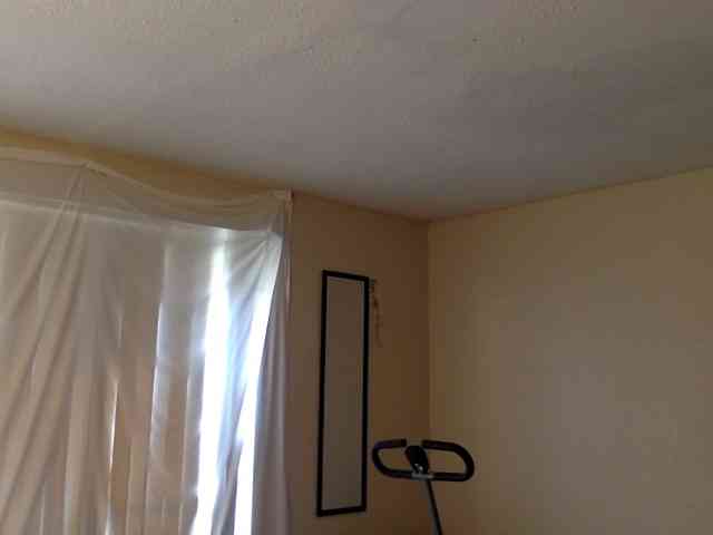 SeemaPatel webcam