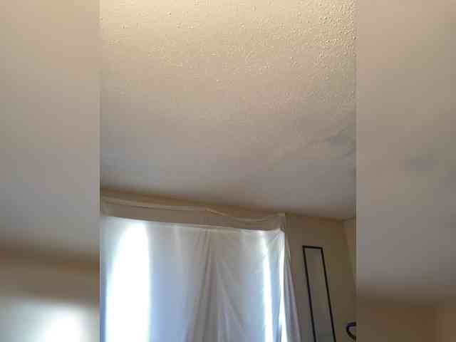 SeemaPatel webcam
