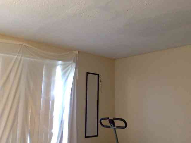 SeemaPatel webcam