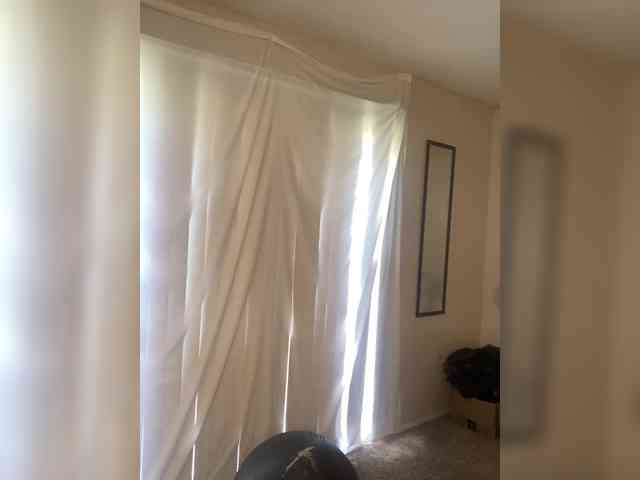 SeemaPatel webcam