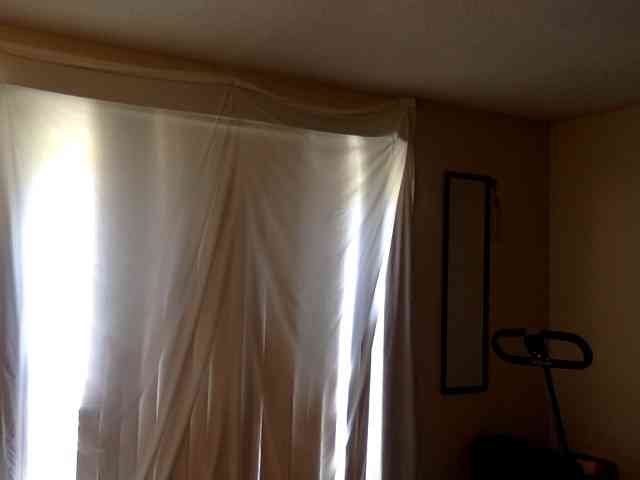 SeemaPatel webcam