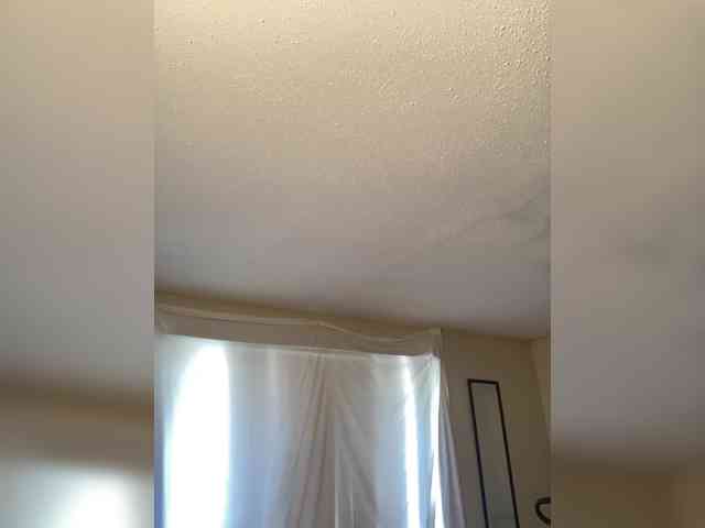 SeemaPatel webcam