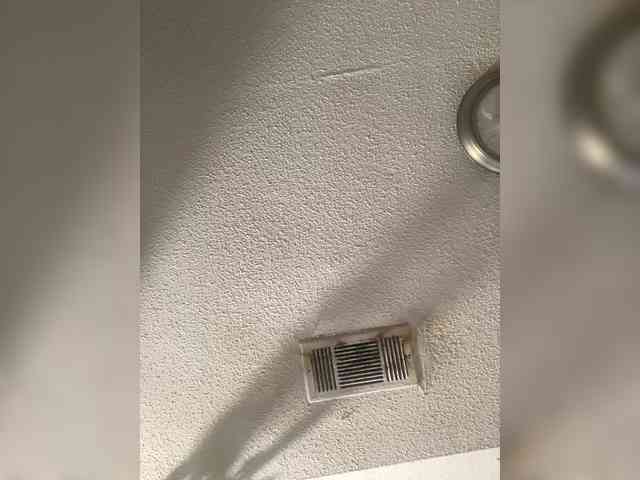 SeemaPatel webcam