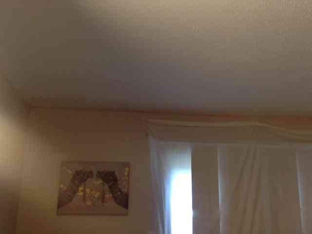 SeemaPatel webcam