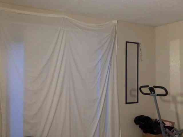 SeemaPatel webcam