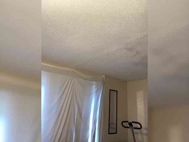 SeemaPatel webcam