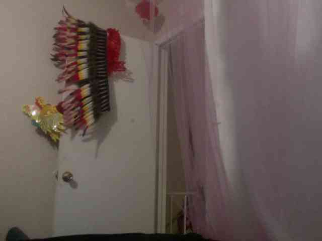 SeemaPatel webcam