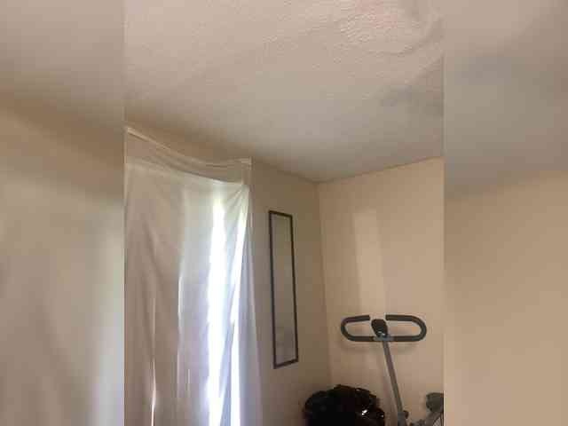 SeemaPatel webcam