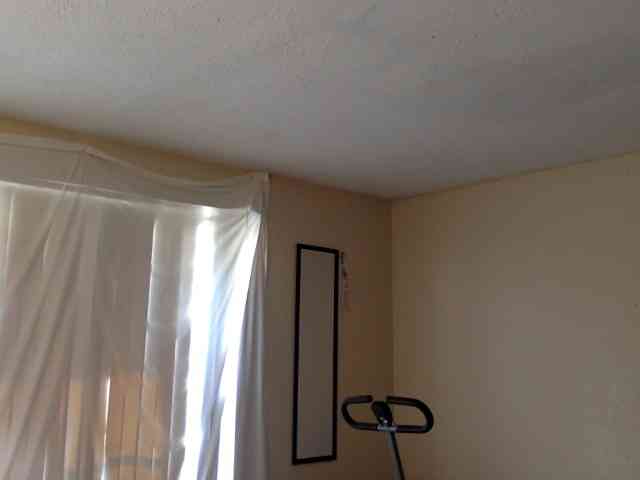 SeemaPatel webcam