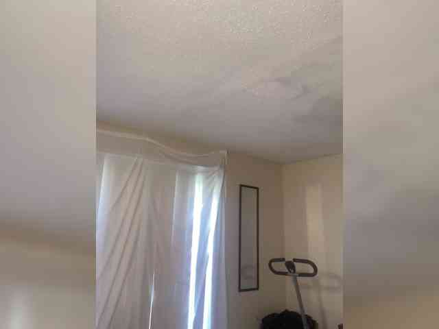 SeemaPatel webcam