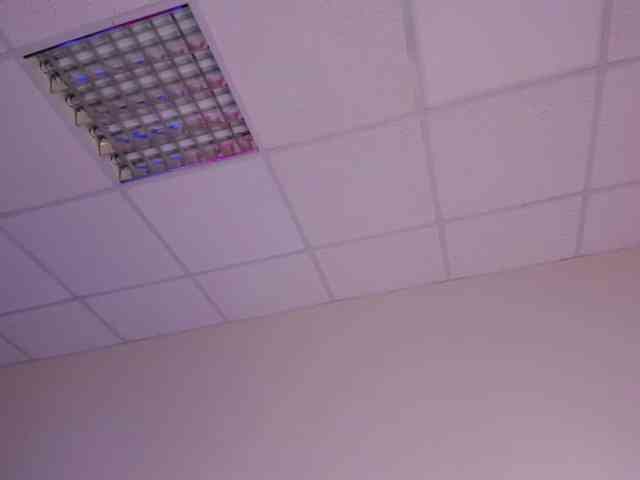 AlexisSky webcam