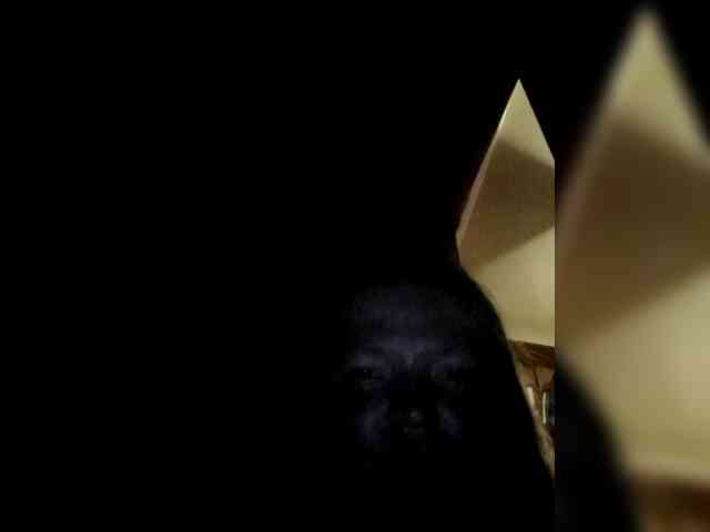 AliceLaKatana webcam