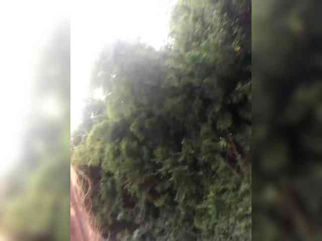 AliceLaKatana webcam