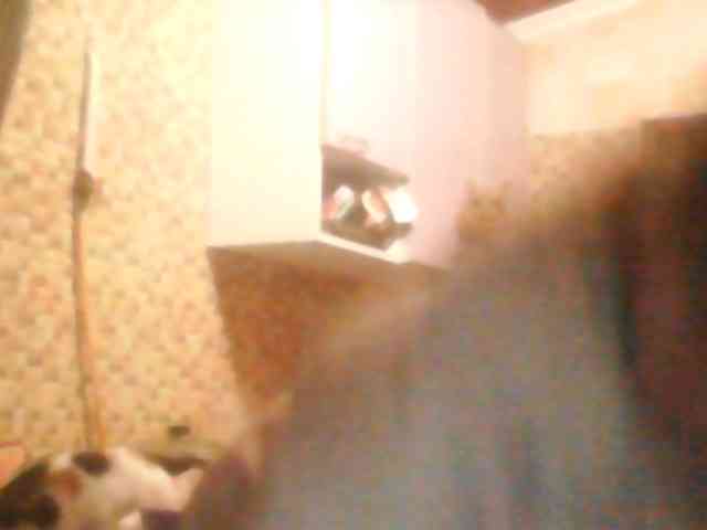 AliceLaKatana webcam