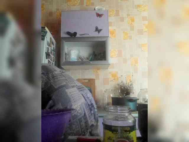 AliceLaKatana webcam