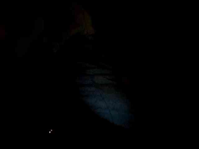 AliceLaKatana webcam