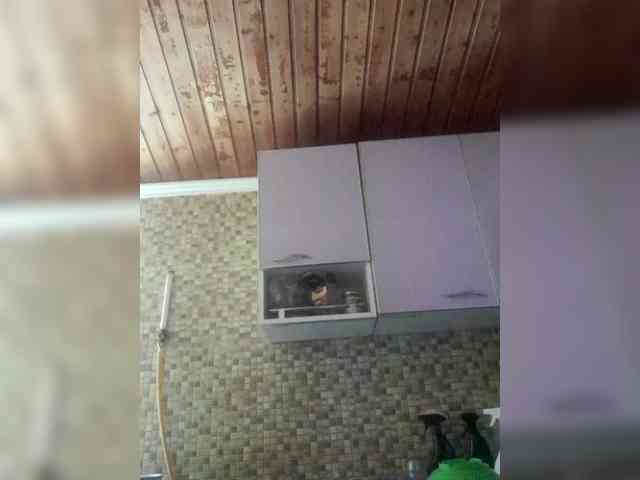 AliceLaKatana webcam