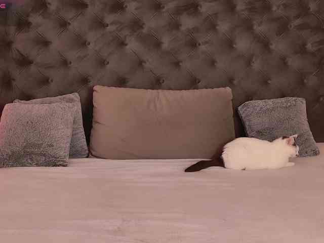 KiraJellylike KiraJellylike