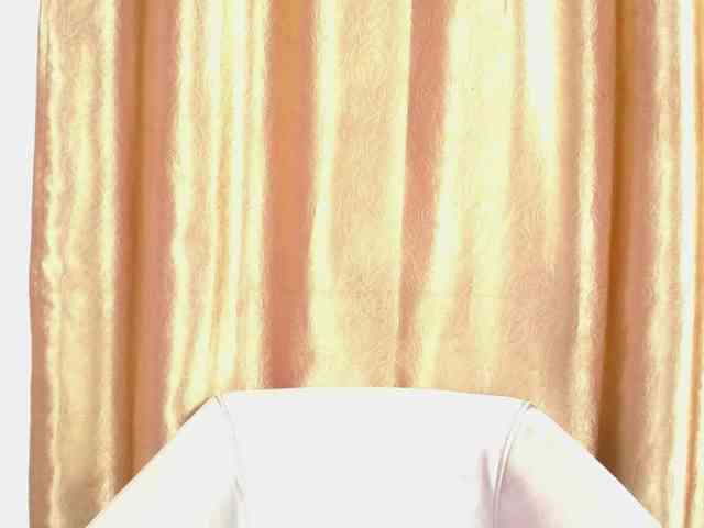 EtherealSoul webcam