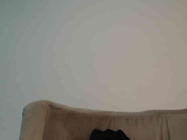 CCOLLI webcam
