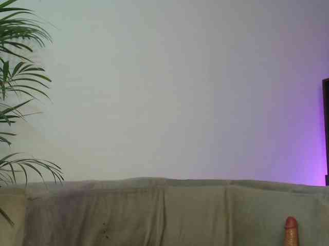CCOLLI webcam