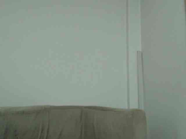 CCOLLI webcam