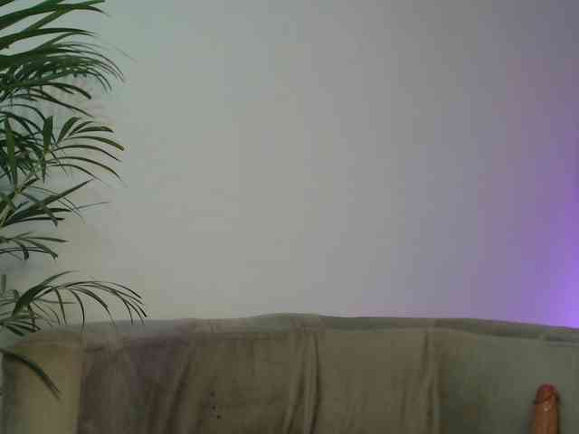 CCOLLI webcam