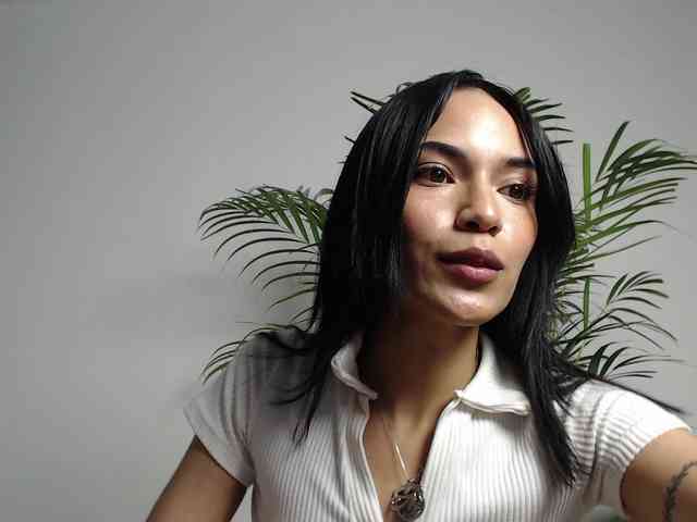 CCOLLI webcam