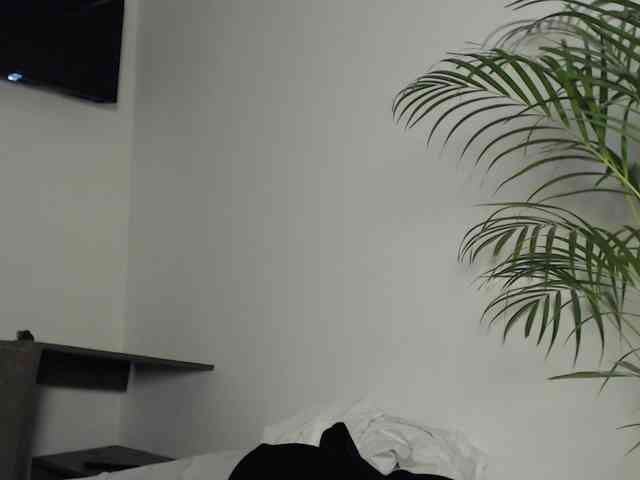 CCOLLI webcam