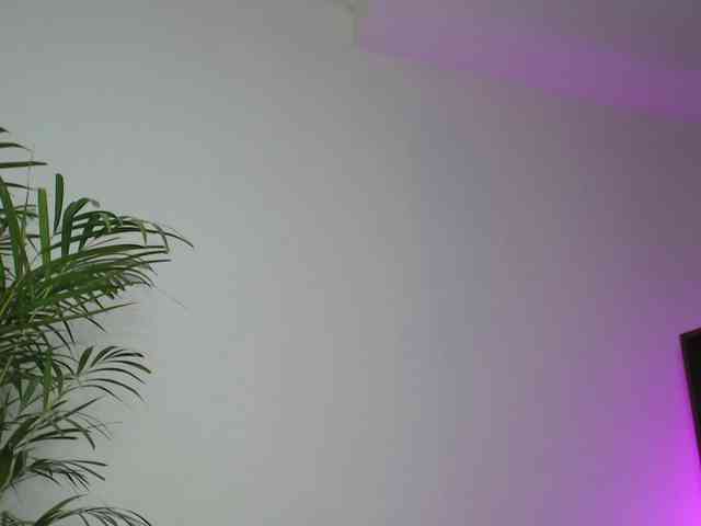 CCOLLI webcam
