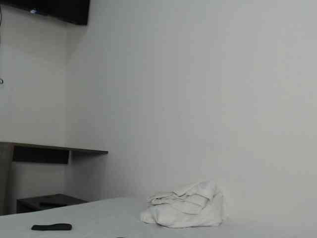 CCOLLI webcam