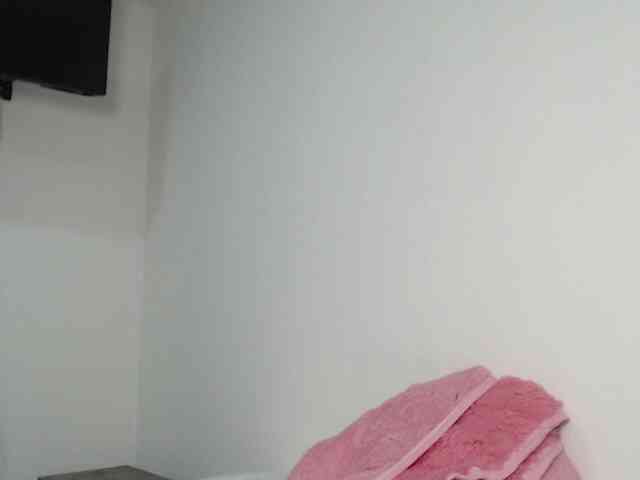 CCOLLI webcam
