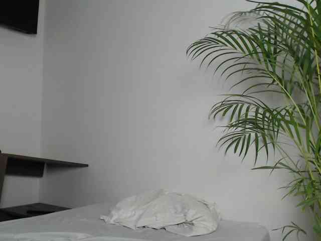 CCOLLI webcam