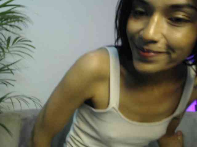 CCOLLI webcam