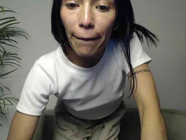 CCOLLI webcam