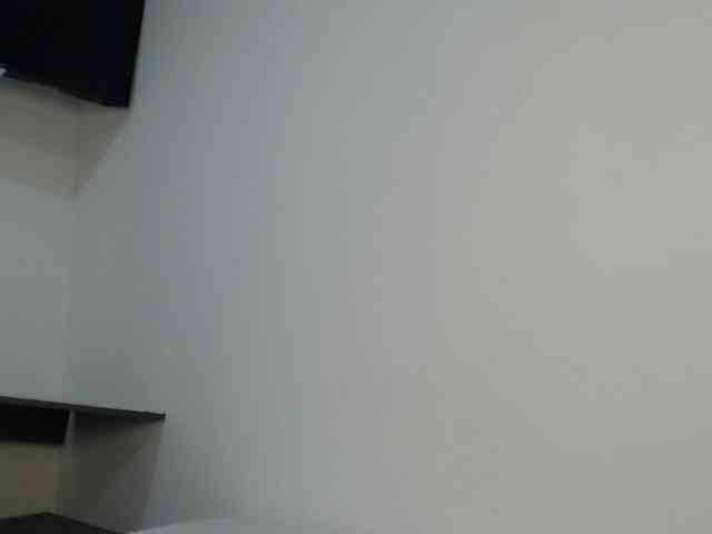 CCOLLI webcam