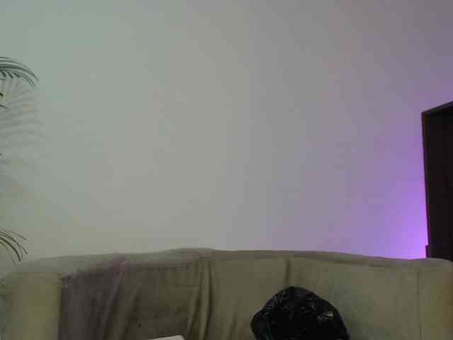 CCOLLI webcam