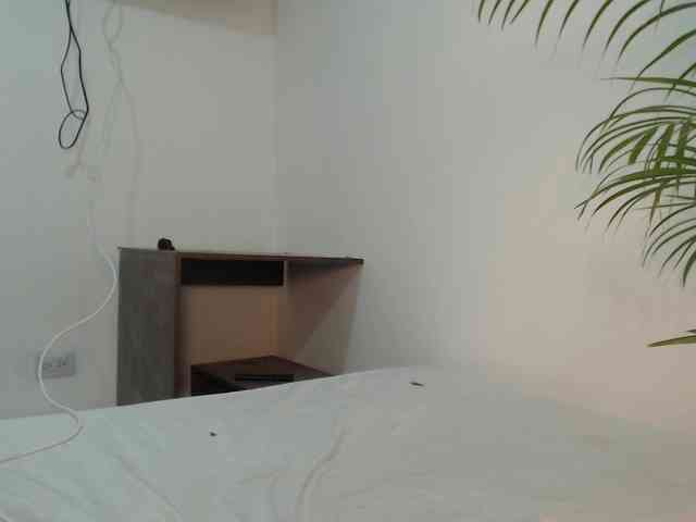 CCOLLI webcam