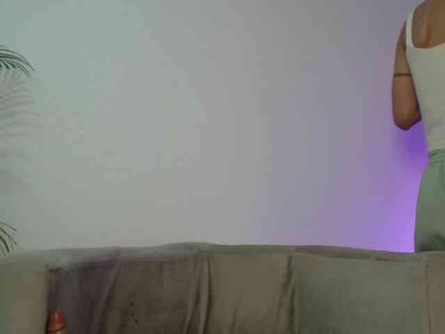 CCOLLI webcam