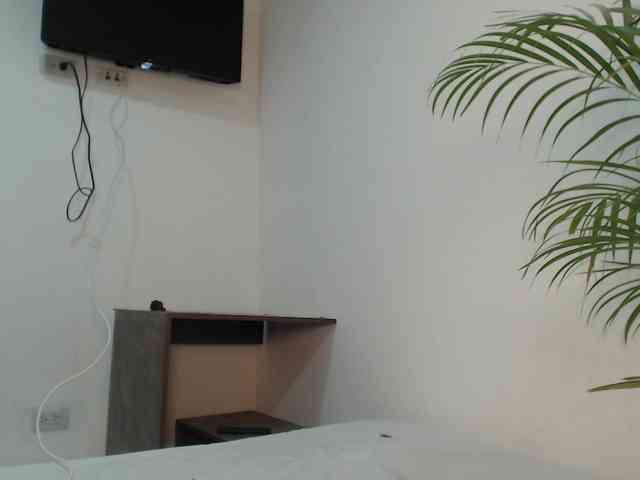 CCOLLI webcam