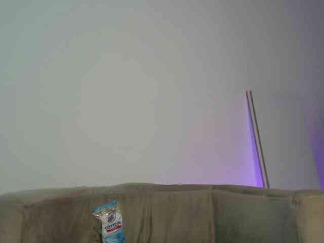 CCOLLI webcam