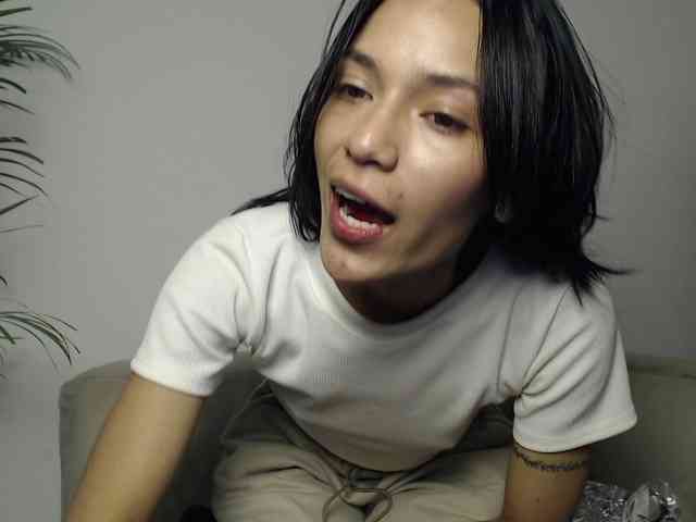 CCOLLI webcam