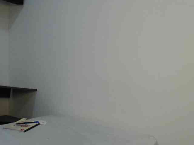CCOLLI webcam