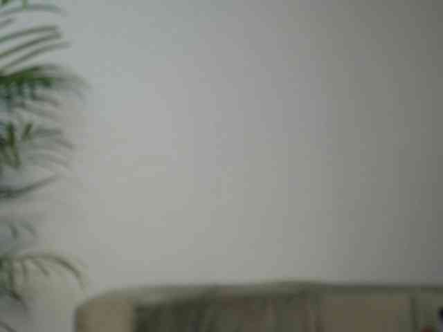 CCOLLI webcam